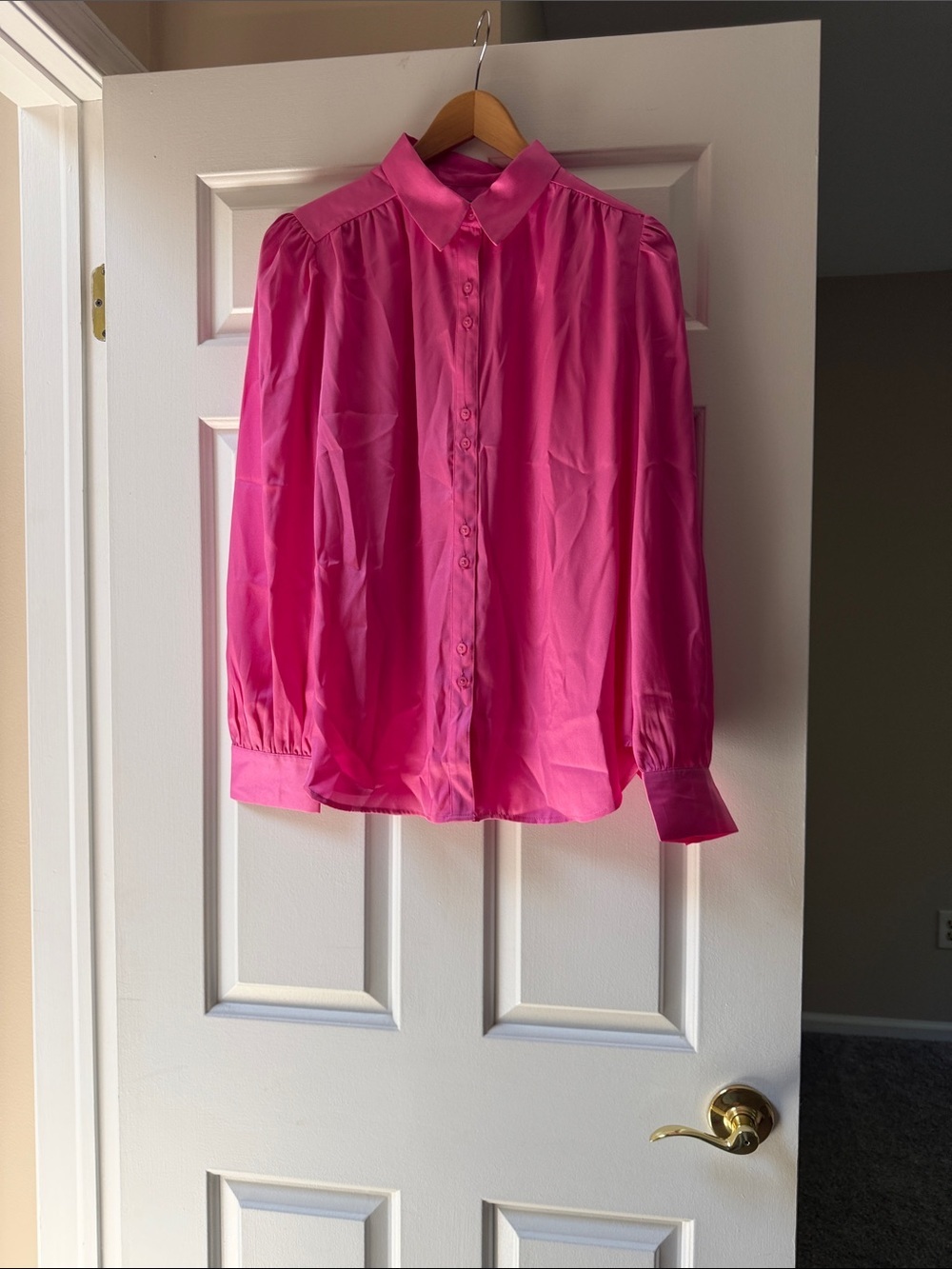 Ann Taylor Hot Pink Button-Up Blouse